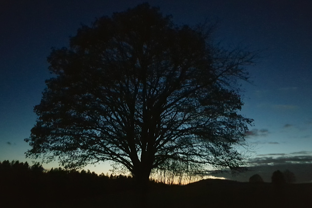 Wandern bei Nacht