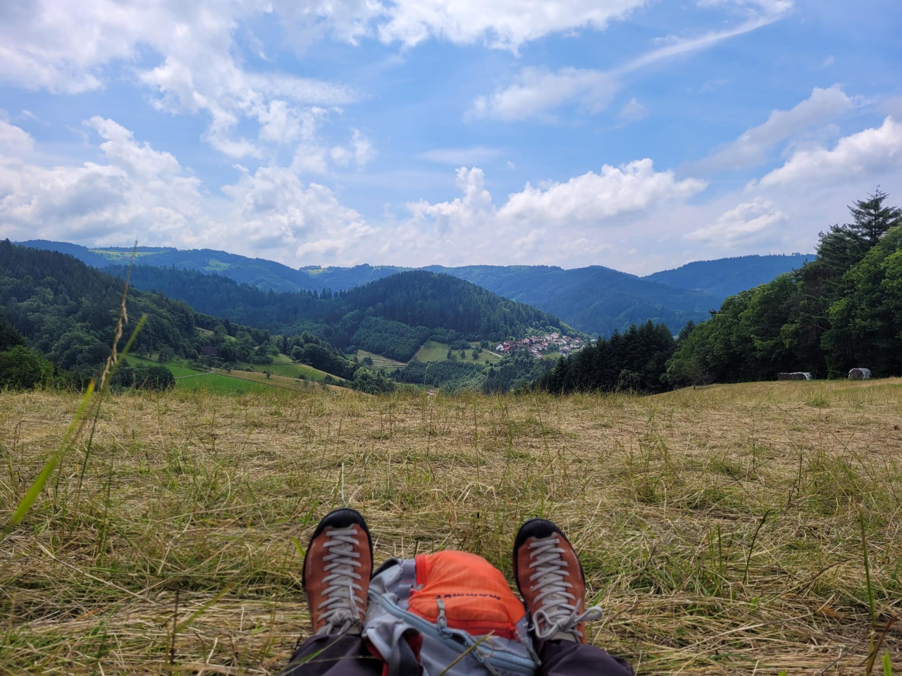 Fragen Sie mich zum Wandern, zu Wildkrutern, zu heimischen Wldern und vielem mehr