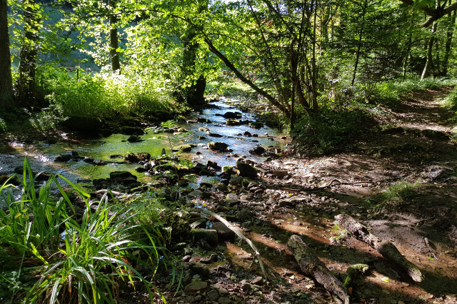 wildromantisches Albtal